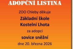 Adopce sovice sněžní ze ZOO Chleby