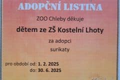 Adopce Surikaty v ZOO Chleby
