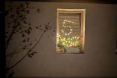 d66b0797-4fd9-433d-9807-447a3d9b141d