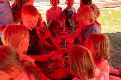 IMG-20260529-WA0026