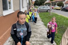 IMG_8501