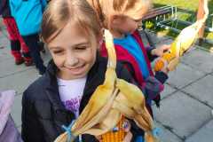 IMG-20241018-WA0015
