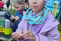 IMG-20241018-WA0016