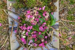 IMG-9382