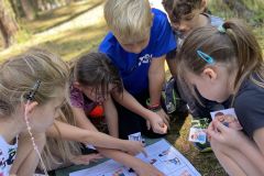 IMG-8436