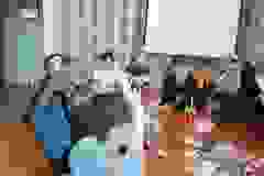 Návštěva obecního úřadu
