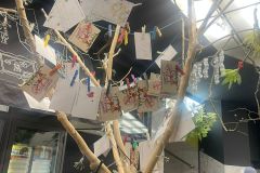 IMG-20260218-WA0020