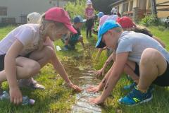 IMG-20250609-WA0029