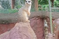 Výlet do ZOO Chleby